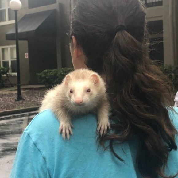 Meet your Posher, Kaia - Picture 1 of 1